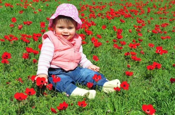 Begreppet foto - blommor och våren — Stockfoto