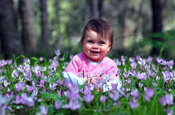 stock image Concept Photo - Flowers and Spring Time