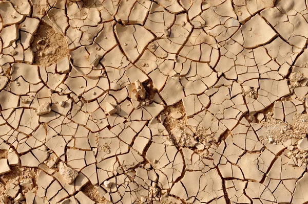 Textura da Terra Rachada Seca - Seca — Fotografia de Stock