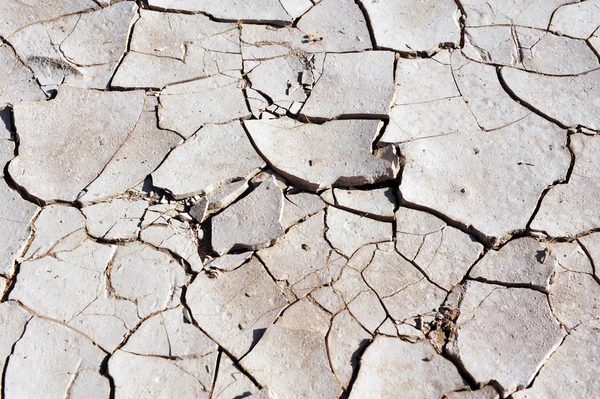 乾燥した割れた地球のテクスチャ - 干ばつ — ストック写真