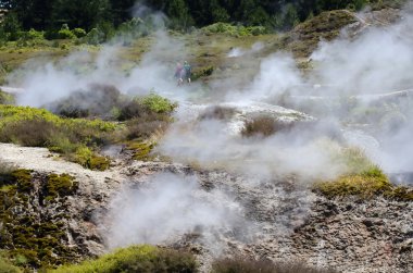 Craters of the Moon, Lake Taupo, New Zealand clipart