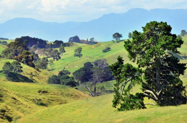 Hobbiton Movie Set and Farm clipart