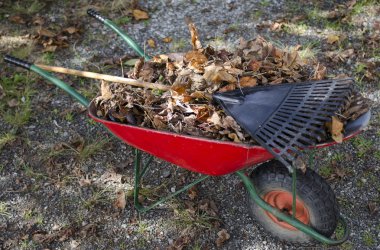 Raking autumn foliage clipart