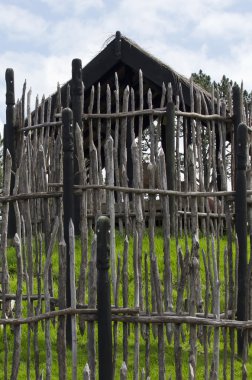 maori fotoğrafları Yeni Zelanda - seyahat