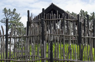 maori fotoğrafları Yeni Zelanda - seyahat