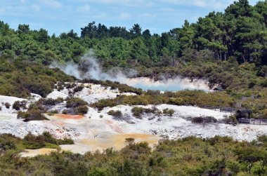 Yeni Zelanda-seyahat fotoğrafları