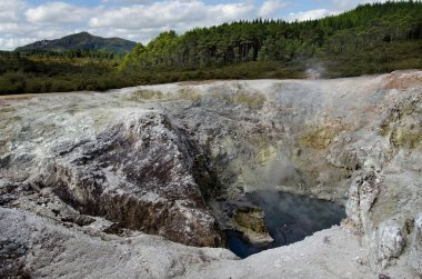 Yeni Zelanda-seyahat fotoğrafları