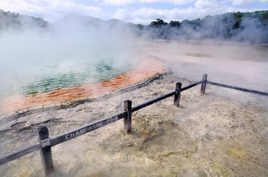 Yeni Zelanda-seyahat fotoğrafları
