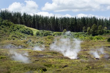 Craters of the Moon, Lake Taupo, New Zealand clipart