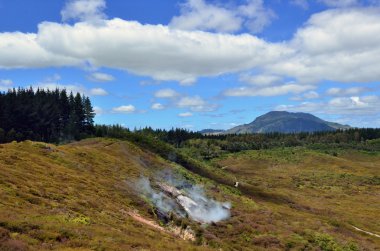 Craters of the Moon, Lake Taupo, New Zealand clipart