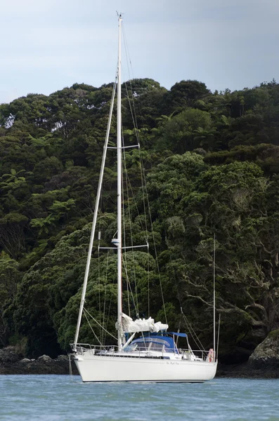 Idrott och rekreation - segling — Stockfoto