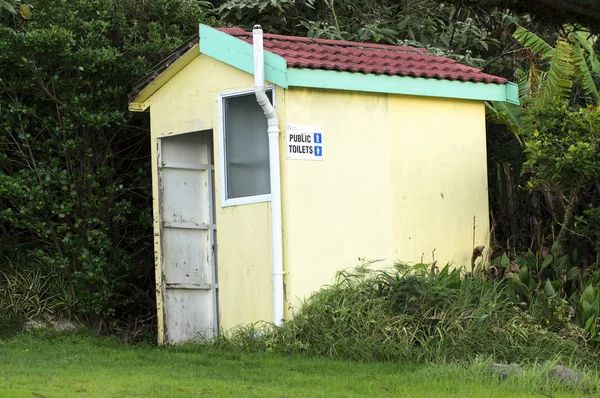 旅行，新西兰-布什厕所 — 图库照片