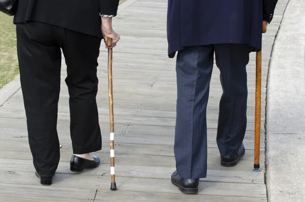 Concept Photo - Старе і літнє життя - Walking Cane Stick — стокове фото