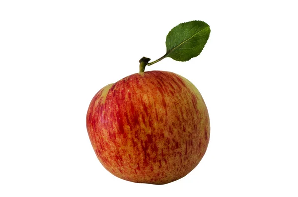 Groenten en fruit - appel — Stockfoto