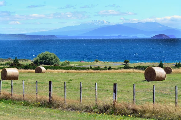 Nieuw-Zeeland - reis foto 's — Stockfoto