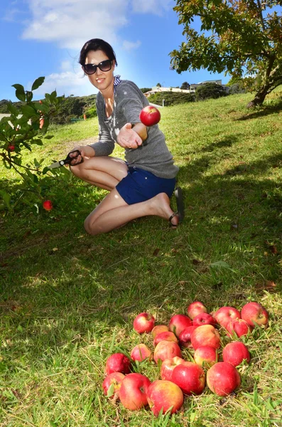 Owoce i warzywa - jabłko — Zdjęcie stockowe