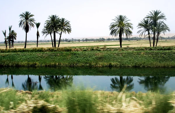 Canal d'eau en Egypte — Photo