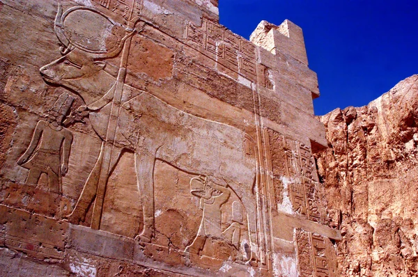O Grande Templo de Hatshepsut — Fotografia de Stock