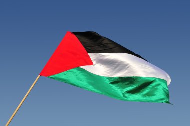 Palestinain Flag Waves in the Wind clipart