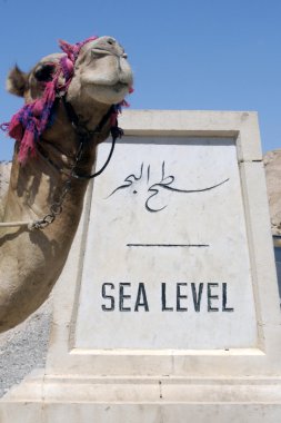 The Dead Sea Israel clipart