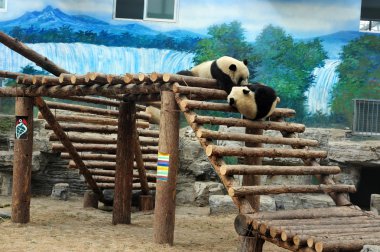 Beijing Pekin Çin
