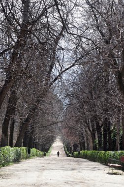 Man walks path in park alone clipart