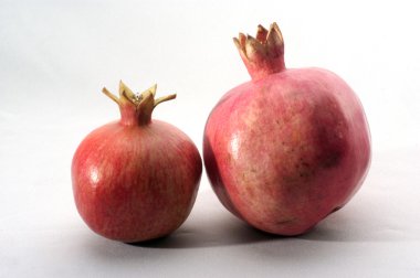 Studio Photo of Pomegranate clipart