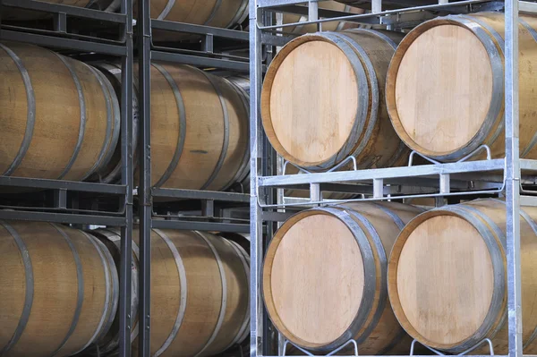 Barricas de vino en un viñedo — Foto de Stock