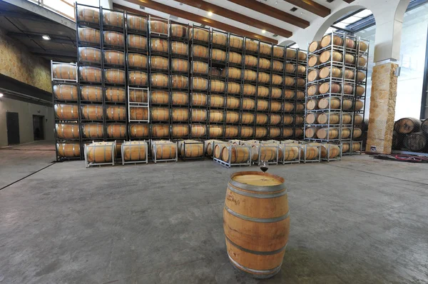 Barrels of Wine in a Vineyard — Stock Photo, Image