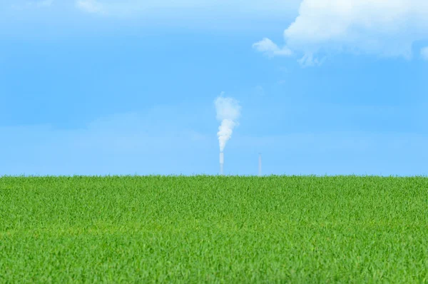 Rauch Umweltverschmutzung grünes Gras — Stockfoto