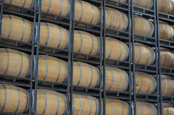 Vaten wijn in een wijngaard — Stockfoto
