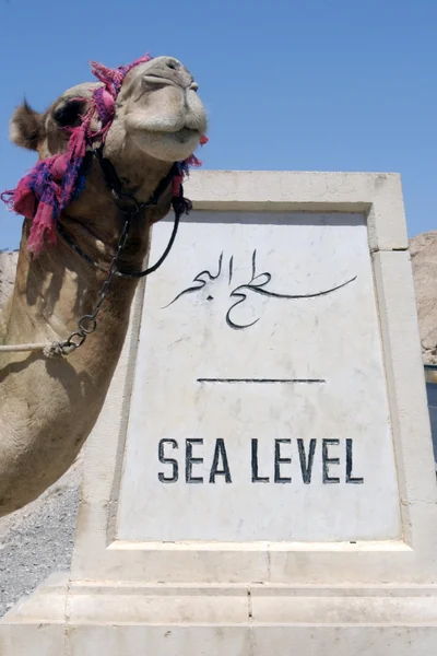 El Mar Muerto Israel — Foto de Stock