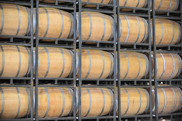 Barricas de vino en un viñedo — Foto de Stock