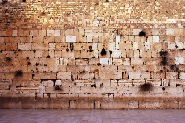 Klagemauer leer in jerusalem — Stockfoto