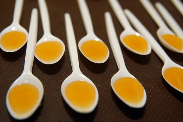 Catadores de muestras de miel — Foto de Stock