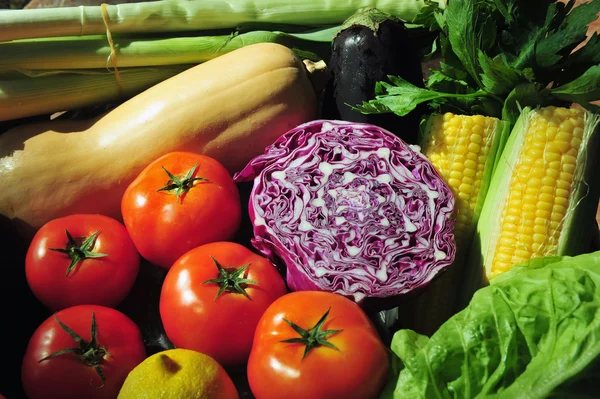 Vielfalt an frischem Gemüse — Stockfoto