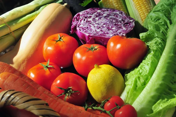 新鮮な野菜の多様性 — ストック写真