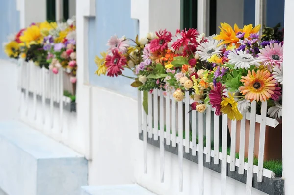 Blommor på fönster — Stockfoto