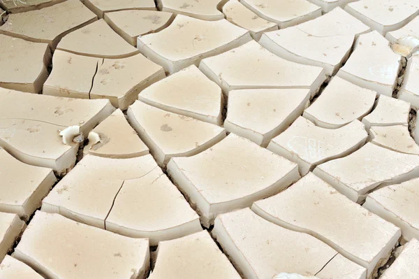 Lama seca rachada — Fotografia de Stock
