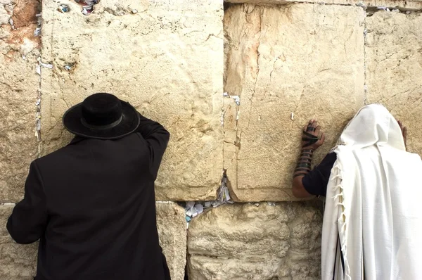 Hombres judíos rezan muralla llorando — Foto de Stock