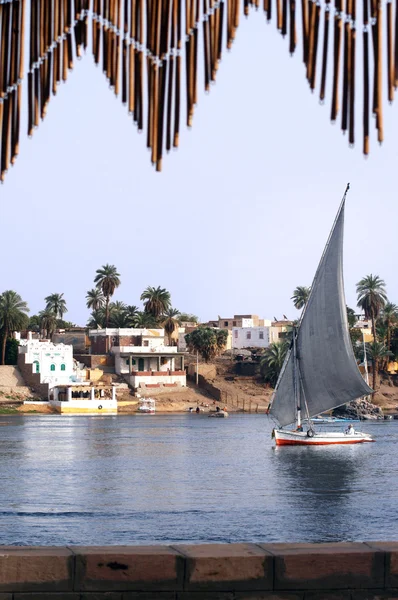 Cruise op Egyptische feloek — Stockfoto