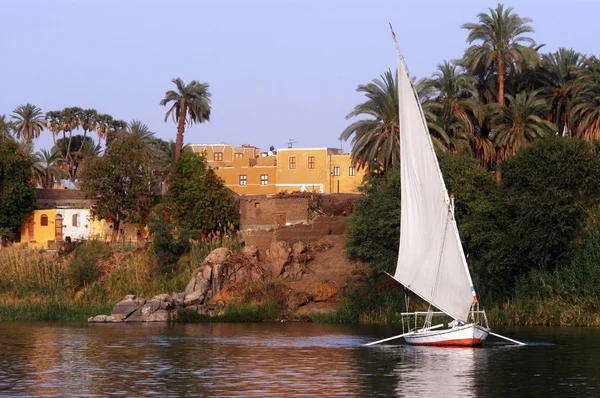 エジプト フェラッカ船クルーズします。 — ストック写真