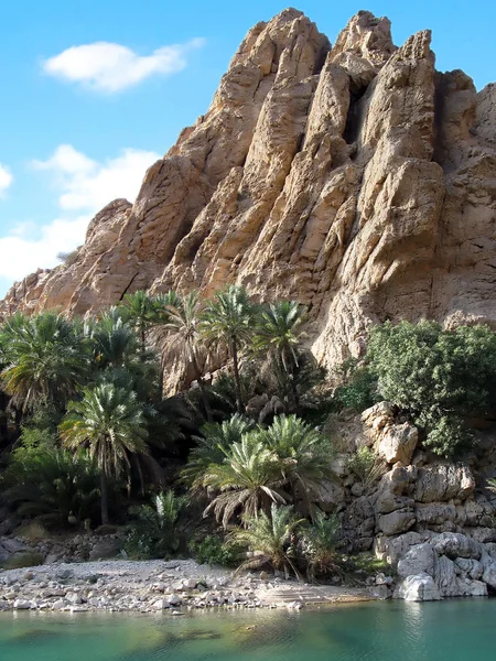 Natural Wadi in Oman — Stock Photo, Image