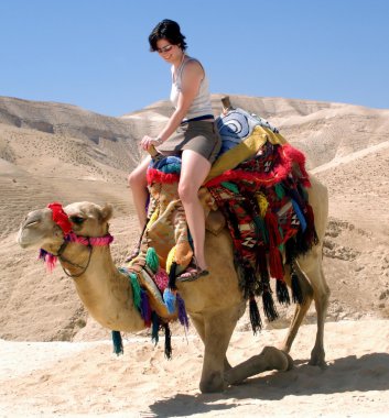 Young Girl Camel Dead Sea Israel clipart