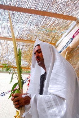 Yahudi bayramları - sukkot