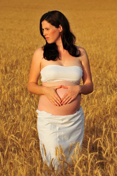 A young pregnant woman in a wheat field — Stock Photo, Image
