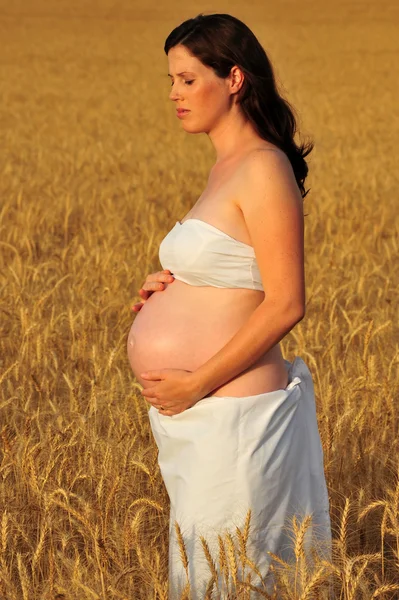 Беременная женщина стоит на пшеничном поле — стоковое фото