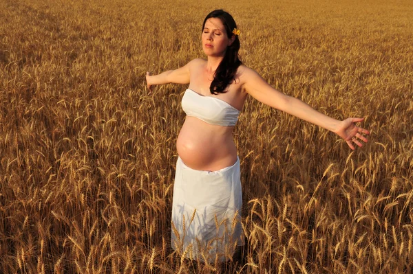 Una joven embarazada en un campo de trigo — Foto de Stock