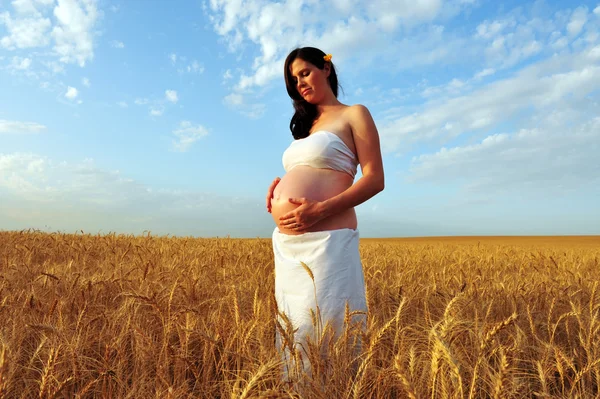 Młoda kobieta w ciąży w polu pszenicy — Zdjęcie stockowe