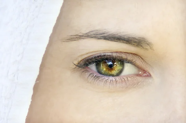 女人的眼睛 — 图库照片